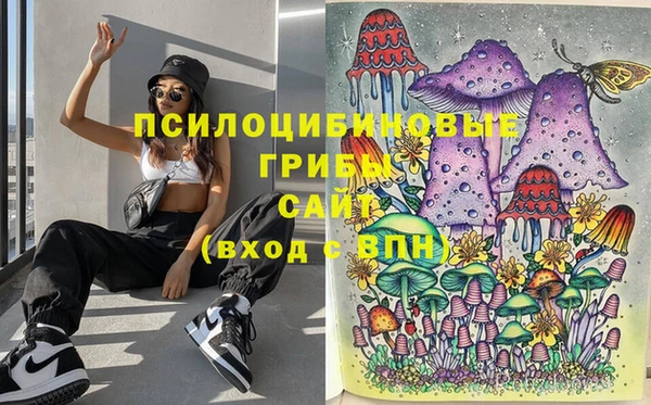 мдпв Белокуриха