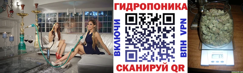 Бошки марихуана семена  купить наркотик  hydra сайт  Озёрск 